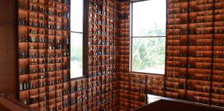 Imponen en Jalisco un Récord Guinness al reunir 3.199 botellas de tequila