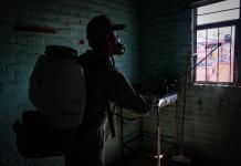 Jalisco suma siete semanas a la baja en casos de dengue