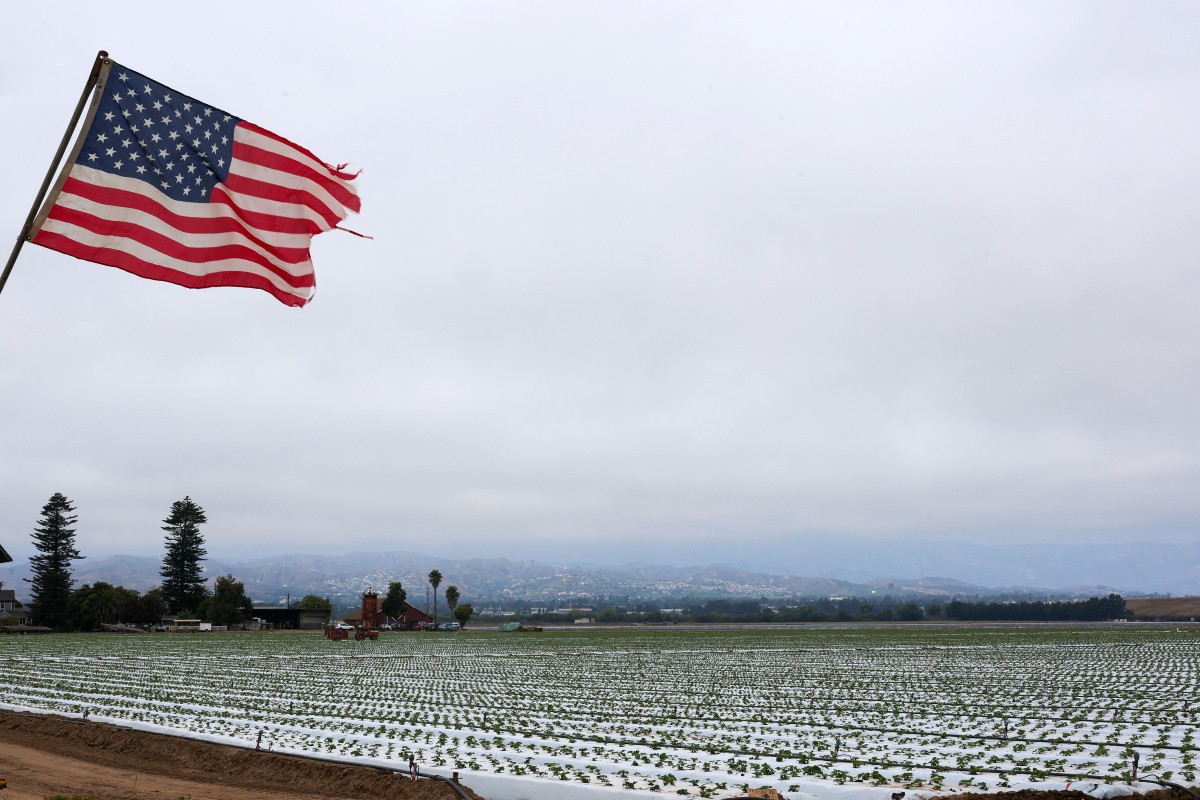 Agricultores advierten que redadas de Trump amenazan seguridad alimentaria de EEUU Agricultores advierten que redadas de Trump amenazan seguridad alimentaria de EEUU