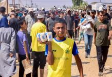 La ONU y la cuestión palestina
