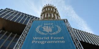 Agencias de la ONU llaman a inundar Gaza de ayuda alimentaria