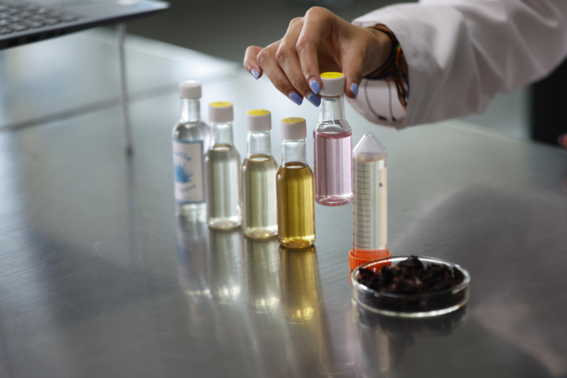 Tequila rosado con jamaica: la innovación mexicana que da vuelta al mundo Tequila rosado con jamaica: la innovación mexicana que da vuelta al mundo
