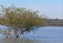 Jalisco pide información a Conagua sobre impacto de la presa Solís en el abasto de agua a la ZMG