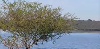 Jalisco pide información a Conagua sobre impacto de la presa Solís en el abasto de agua a la ZMG