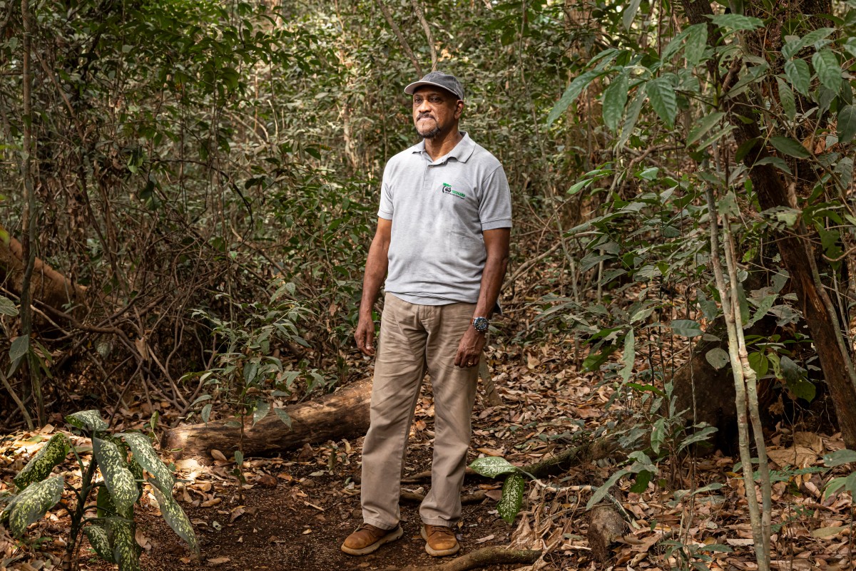 La lucha de 30 años de un hombre para salvar a los chimpancés huérfanos de Sierra Leona