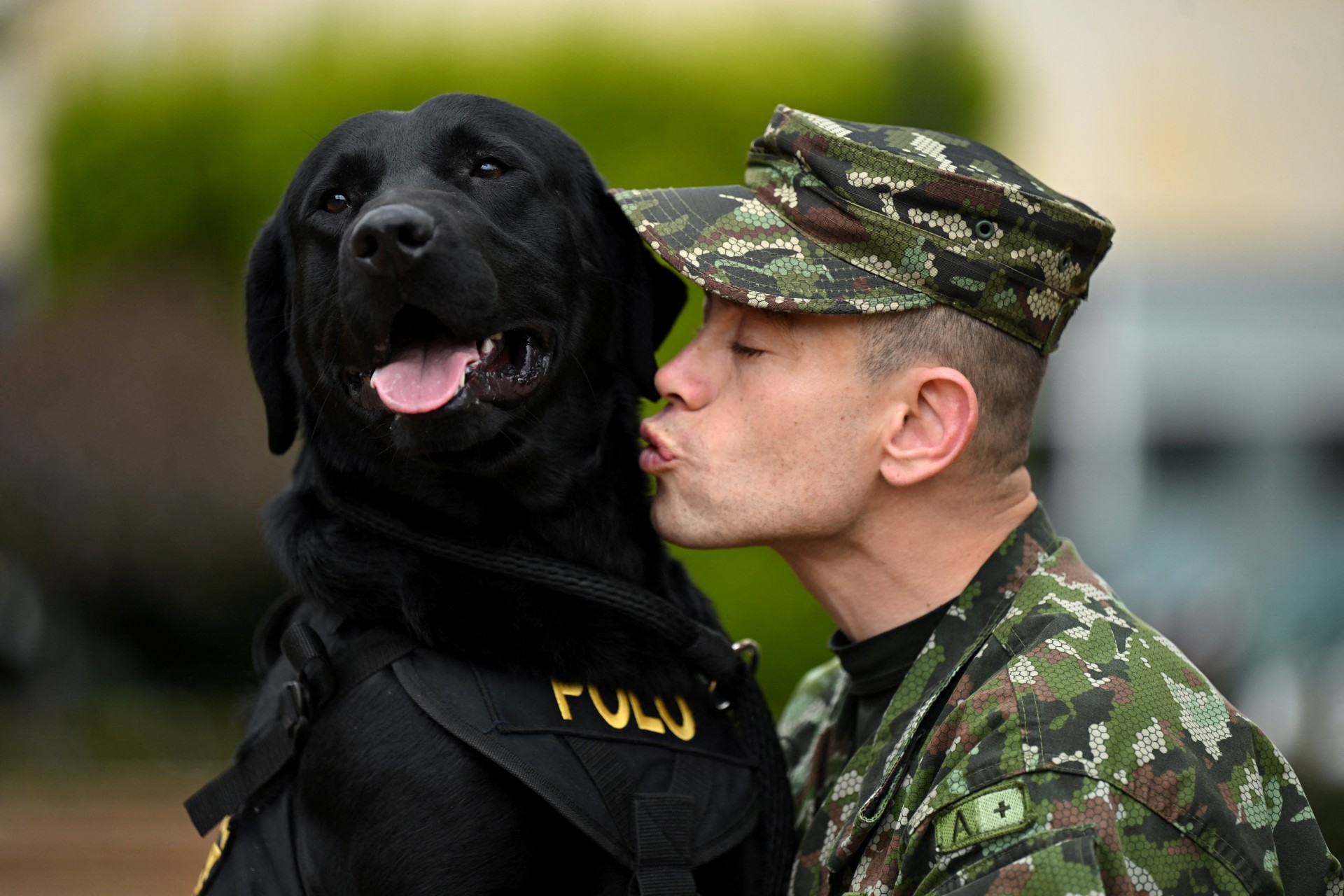 Perros terapeutas ayudan a soldados heridos en un hospital de Colombia Perros terapeutas ayudan a soldados heridos en un hospital de Colombia