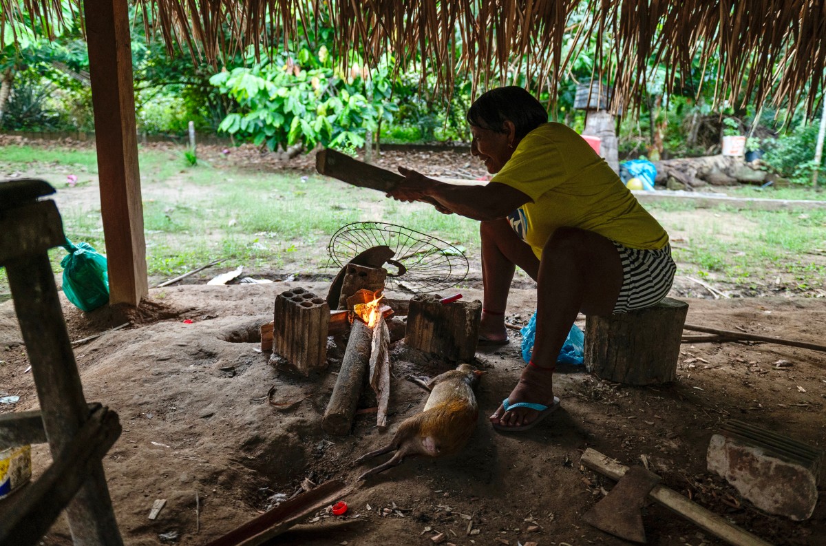 Brasil va tras el rastro de indígenas aislados en la Amazonía Brasil va tras el rastro de indígenas aislados en la Amazonía