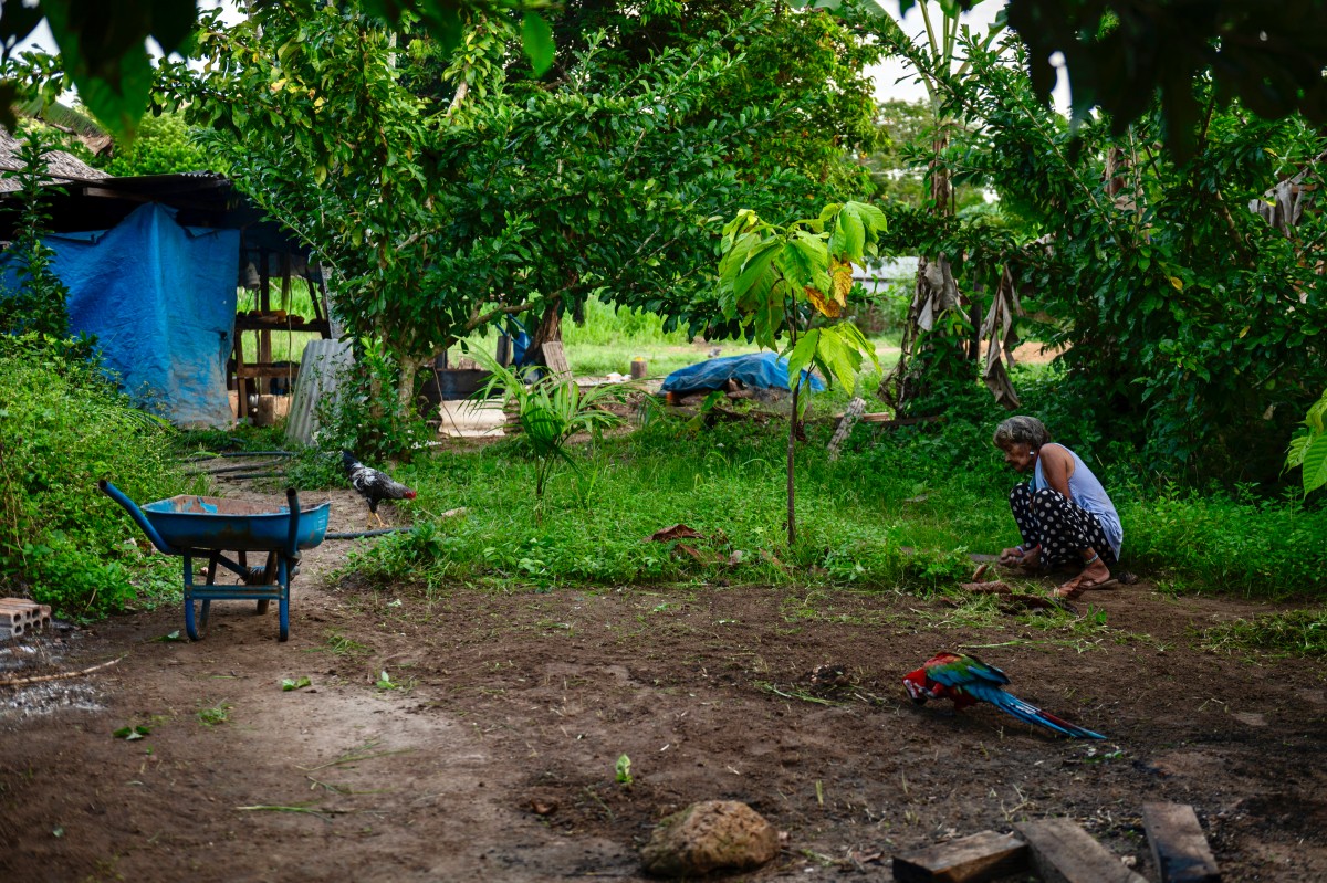 Brasil va tras el rastro de indígenas aislados en la Amazonía Brasil va tras el rastro de indígenas aislados en la Amazonía