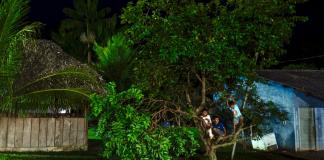 Brasil va tras el rastro de indígenas aislados en la Amazonía