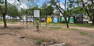 Denuncian casos de perros que han sido intoxicados en el Bosque del Centinela
