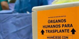 Hospitales Civiles suman ocho donaciones en 2025 y más de 150 pacientes beneficiados