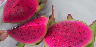 Productores del sur de México apuestan por el cultivo de la pitahaya para arraigar a la juventud