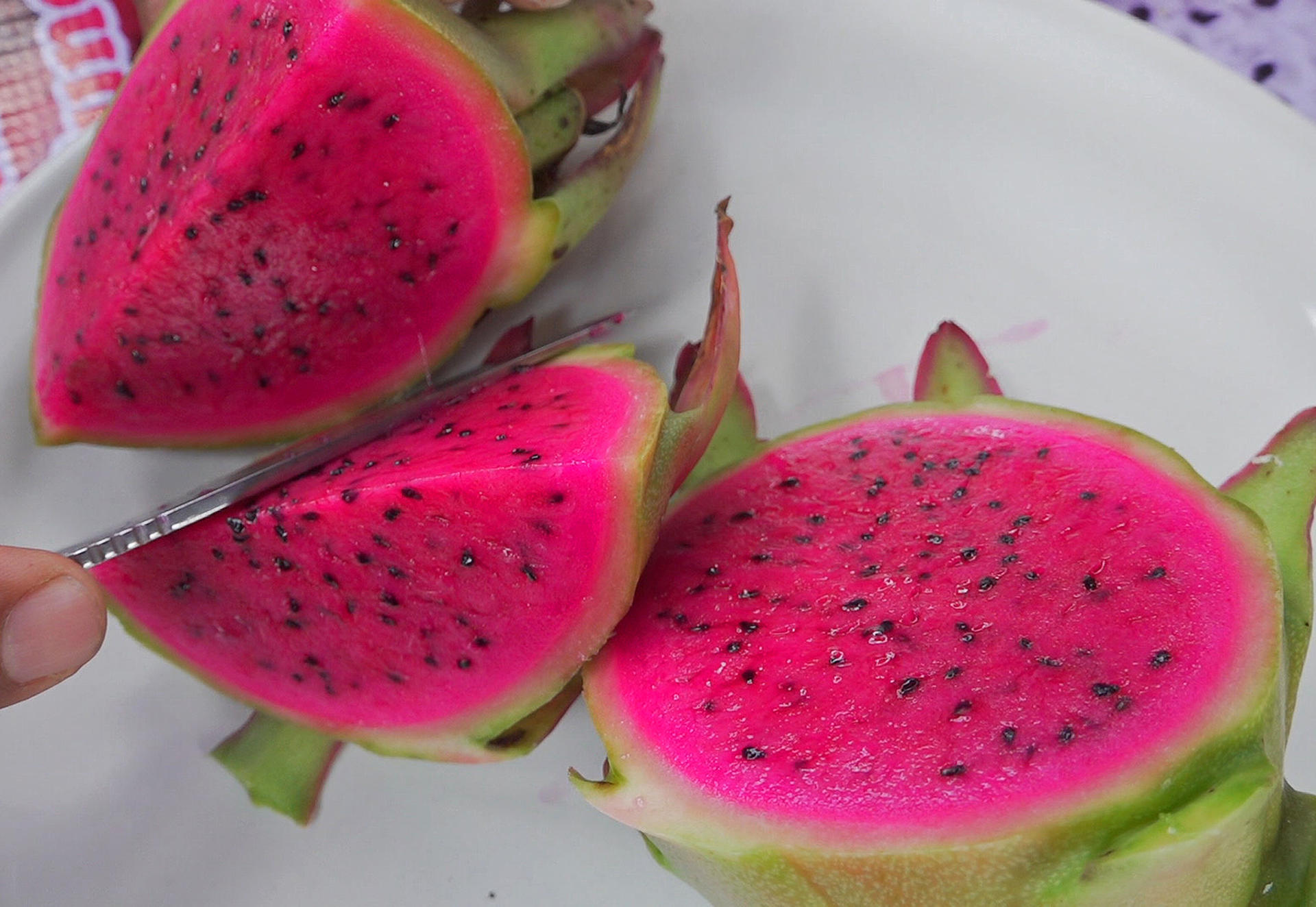 Productores del sur de México apuestan por el cultivo de la pitahaya para arraigar a la juventud
