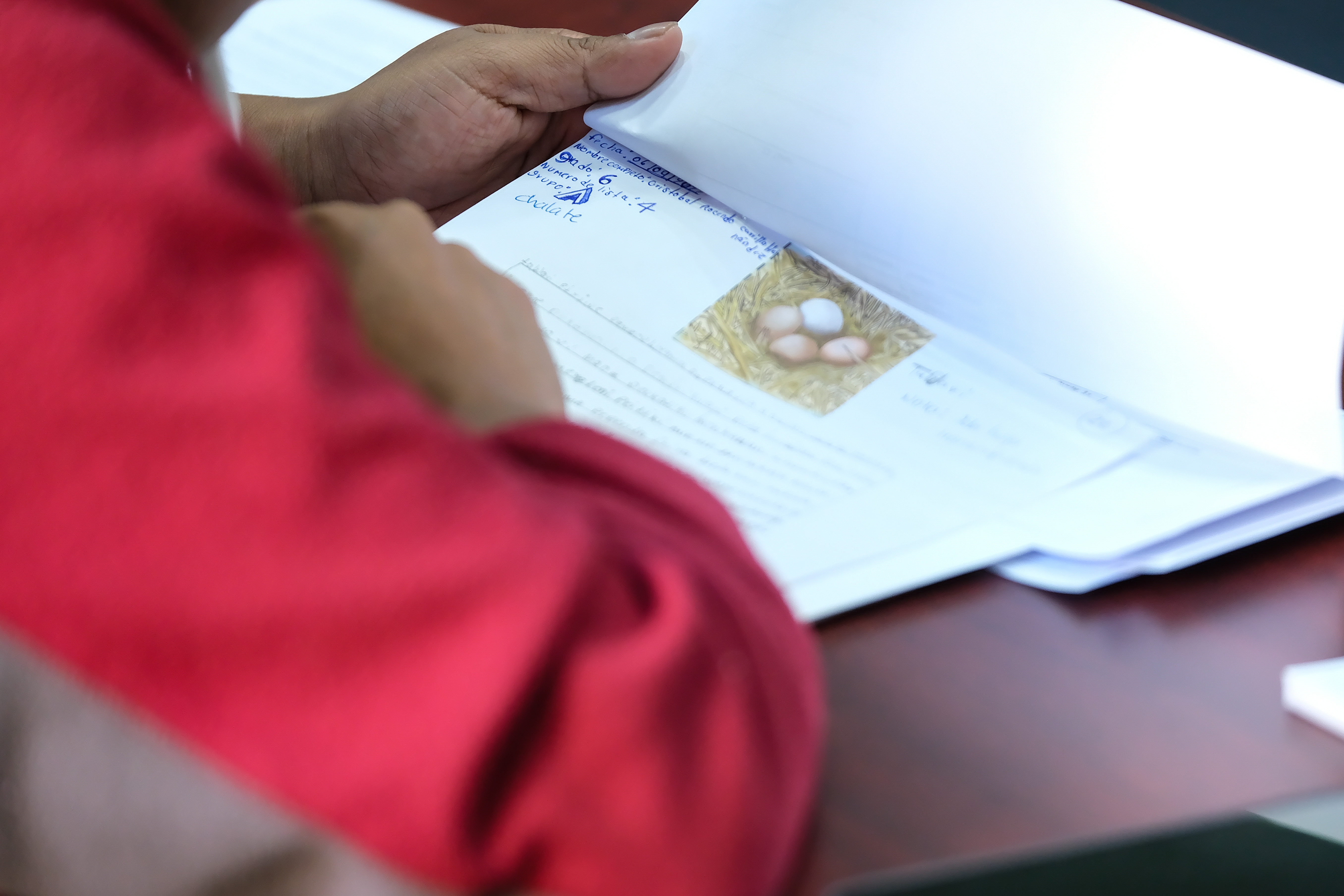 Talleres y conversatorios tendrán lugar en el Encuentro Estatal de Lenguas y Literaturas Indígenas Talleres y conversatorios tendrán lugar en el Encuentro Estatal de Lenguas y Literaturas Indígenas