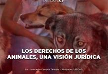Los derechos de los animales, Una visión jurídica - El Expresso de las 10 - Mi. 13 Agosto 2025
