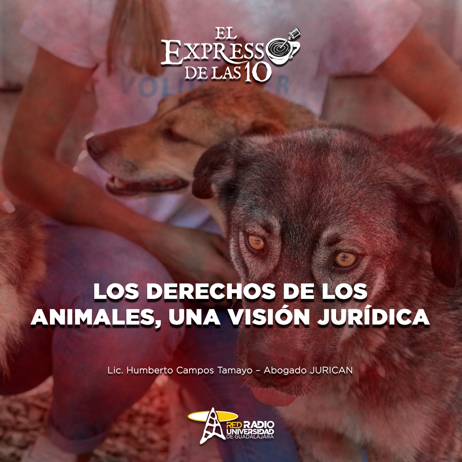 Los derechos de los animales, Una visión jurídica - El Expresso de las 10 - Mi. 13 Agosto 2025 Los derechos de los animales, Una visión jurídica - El Expresso de las 10 - Mi. 13 Agosto 2025