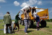 Vietnam a la vanguardia de la inversión extranjera privada en el campo cubano
