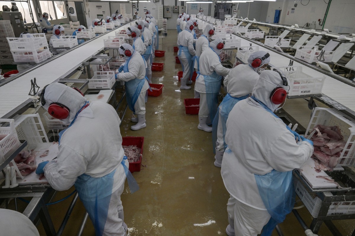 El pescado brasileño sufre como pocos el tarifazo de Trump El pescado brasileño sufre como pocos el tarifazo de Trump
