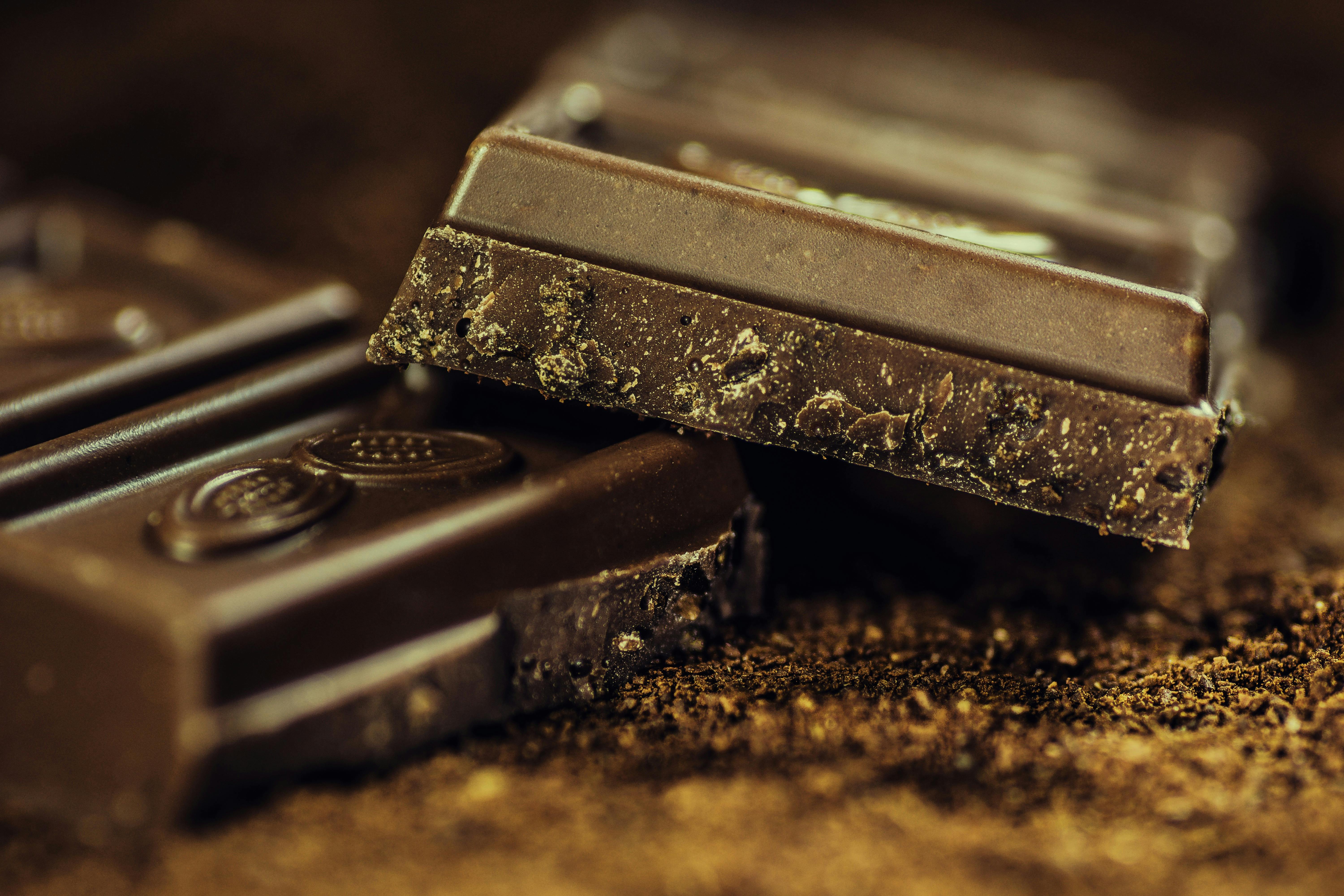 Bacterias y hongos seleccionados en laboratorio para lograr un chocolate de gran sabor
