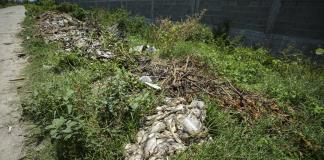 Muerte masiva de peces agrava crisis en Laguna de Tres Palos, en el mexicano Acapulco