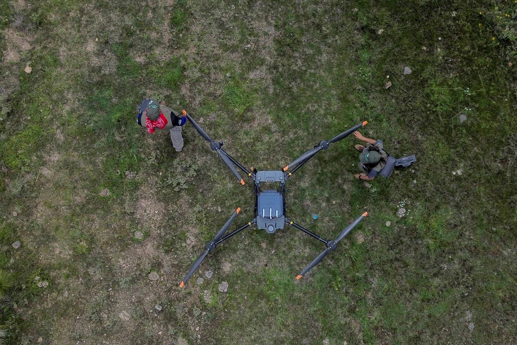 México usa drones para dispersar semillas y reforestar bosques quemados