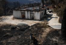 Un récord de más de un millón de hectáreas quemadas en incendios en la UE en 2025