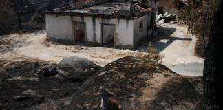 Un récord de más de un millón de hectáreas quemadas en incendios en la UE en 2025
