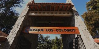 "Dejo de ser gobernador si se construyen las torres en Los Colomos": Pablo Lemus