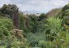 Guadalajara activa defensa legal contra torre en Bosque Los Colomos
