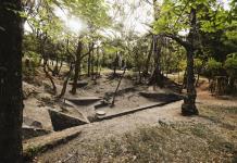 Piden al Gobierno de Guadalajara defensa férrea contra nueva torre departamental en el Bosque Los Colomos