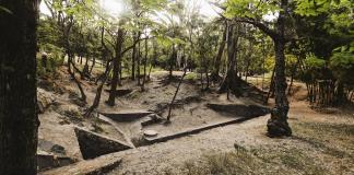 Piden al Gobierno de Guadalajara defensa férrea contra nueva torre departamental en el Bosque Los Colomos