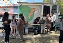 Guadalajara ofrece en adopción a cerca de 20 perros y gatos; garantiza vacunas