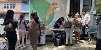 Guadalajara ofrece en adopción a cerca de 20 perros y gatos; garantiza vacunas