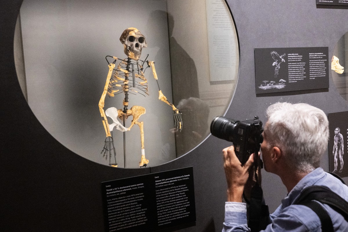 Lucy, célebre antepasado humano, se exhibe por primera vez en Europa