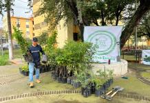 Activistas reforestan el Parque Lineal Anáhuac; esperan llegar hasta el Río Santiago