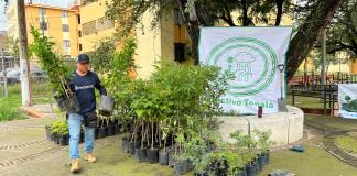Activistas reforestan el Parque Lineal Anáhuac; esperan llegar hasta el Río Santiago