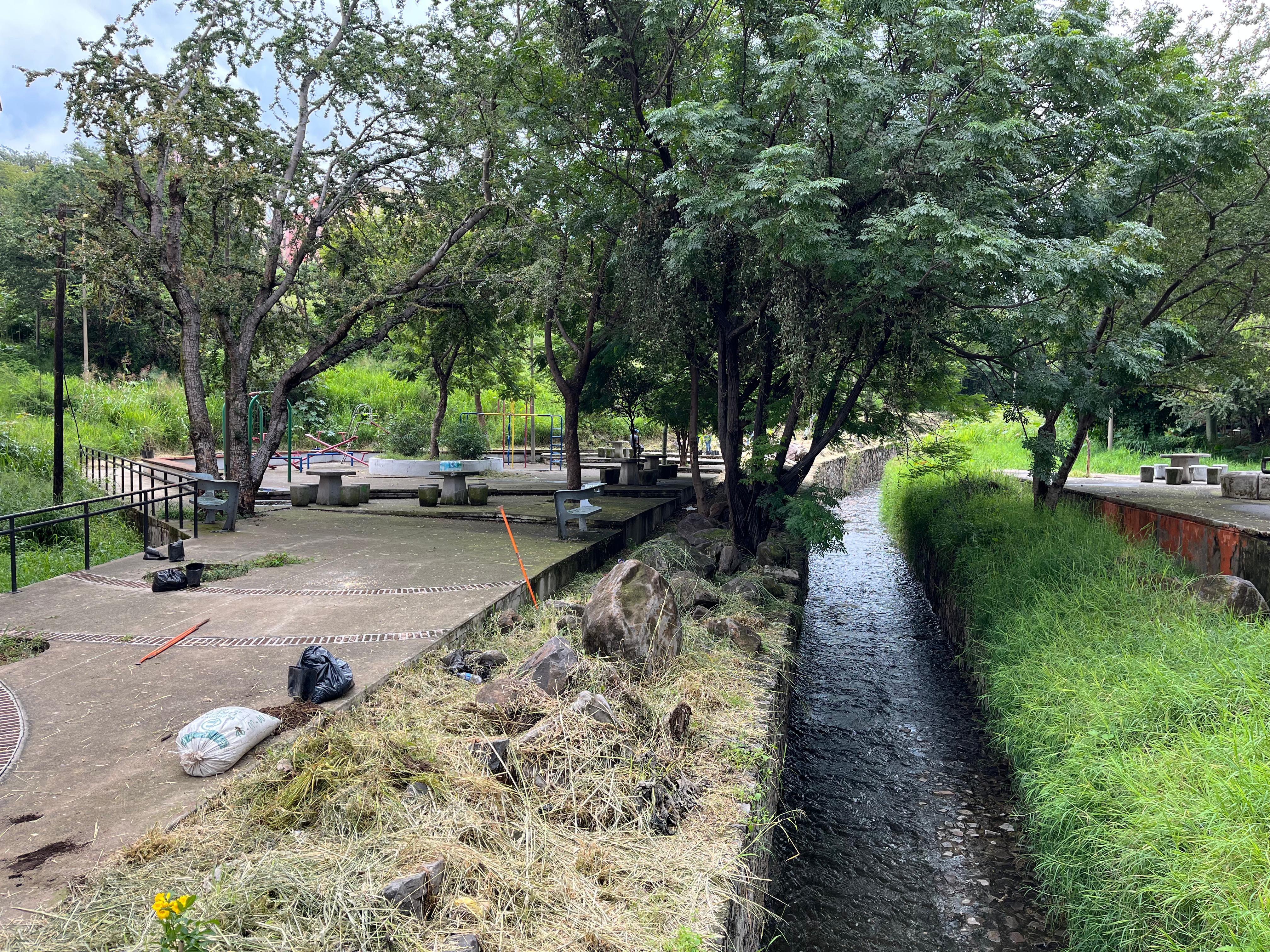 Activistas reforestan el Parque Lineal Anáhuac; esperan llegar hasta el Río Santiago
