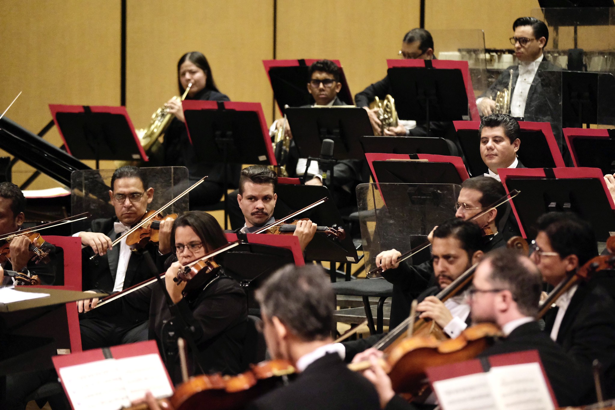 La Orquesta Filarmónica de Jalisco tendrá audiciones para ocho nuevas vacantes La Orquesta Filarmónica de Jalisco tendrá audiciones para ocho nuevas vacantes