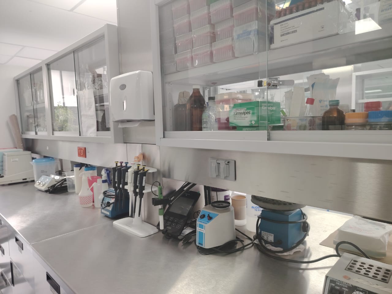 Investigador del CUCS estudia las otras secuelas del ruido: las psicológicas