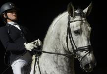 Una modificación genética fue clave para que los caballos fueran aptos para la monta