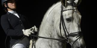 Una modificación genética fue clave para que los caballos fueran aptos para la monta