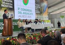 Aguacate de Jalisco consolida su presencia en Estados Unidos con 16 municipios exportadores
