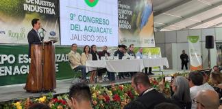 Aguacate de Jalisco consolida su presencia en Estados Unidos con 16 municipios exportadores