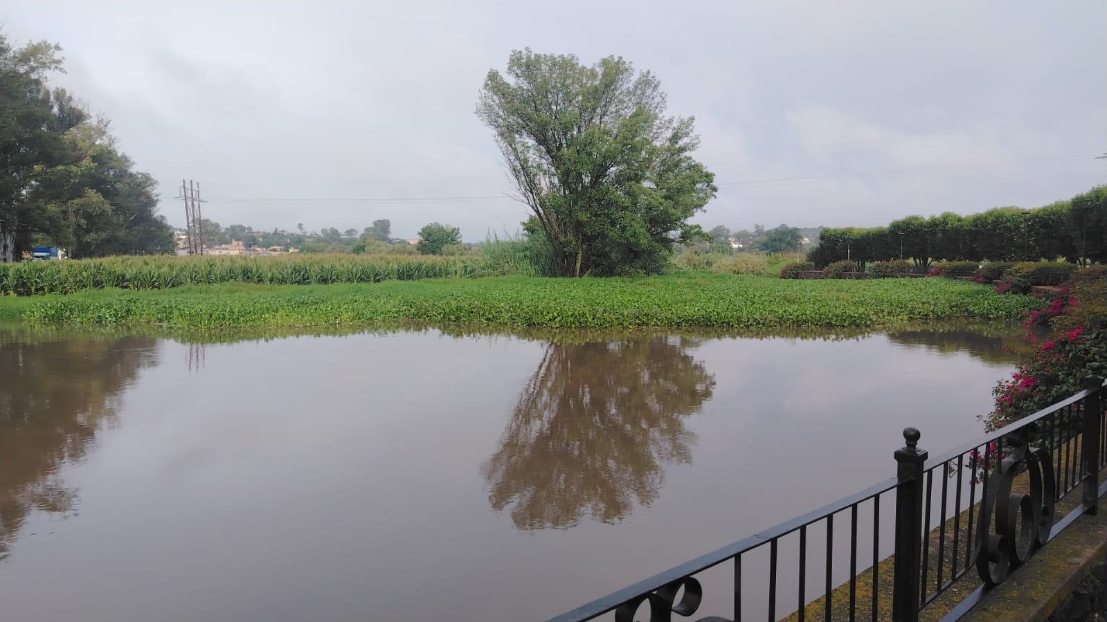 Tormenta desborda ríos en Los Altos; autoridades minimizan afectaciones Tormenta desborda ríos en Los Altos; autoridades minimizan afectaciones