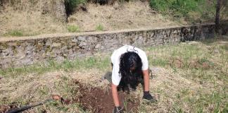 Voluntarios reforestan en Tonalá para crear un corredor ambiental