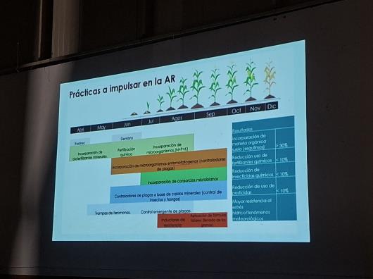 Imparten cursos de agricultura regenerativa en Jamay