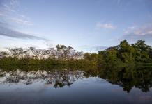 Ecuador, Colombia y Perú se unen para proteger cuatro millones de hectáreas de Amazonía