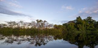 Ecuador, Colombia y Perú se unen para proteger cuatro millones de hectáreas de Amazonía