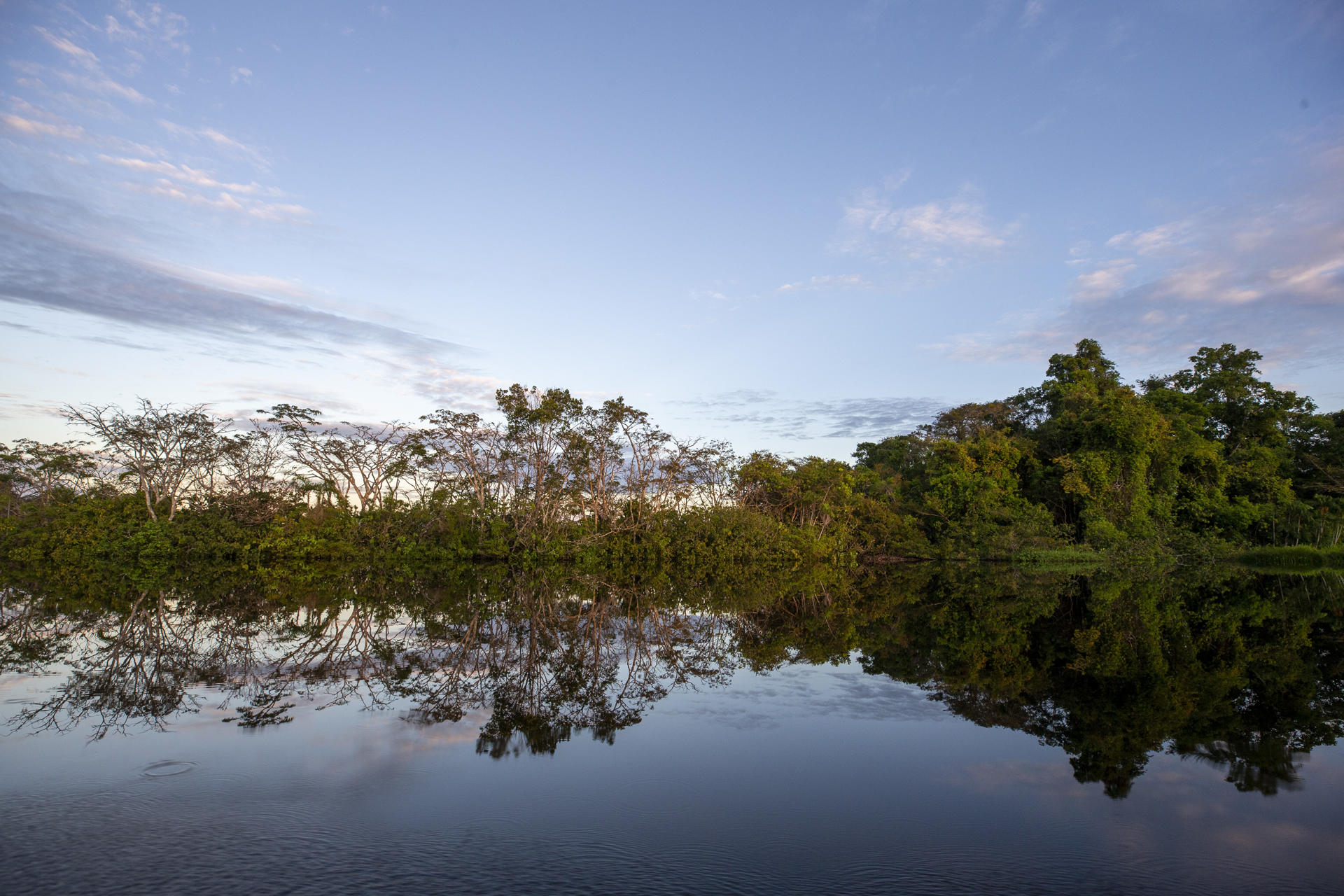 A dos meses de la COP30 en Brasil, sólo 79 de 198 países reservaron hospedaje