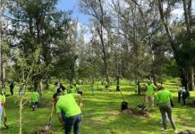 Con apoyo de voluntarios, Fundación Traxión y Bosques Urbanos reforestan Los Colomos